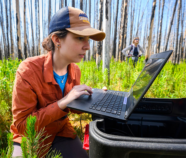 A woman sits amidst short tree seedlings and looks at a computer screen sitting atop a plastic tub.